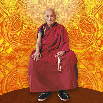 Master White Sunlight -2014